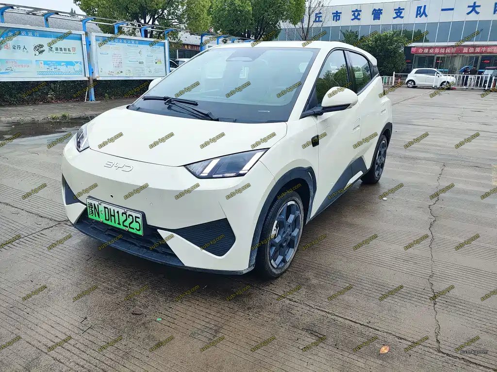 BYD Seagull 2025