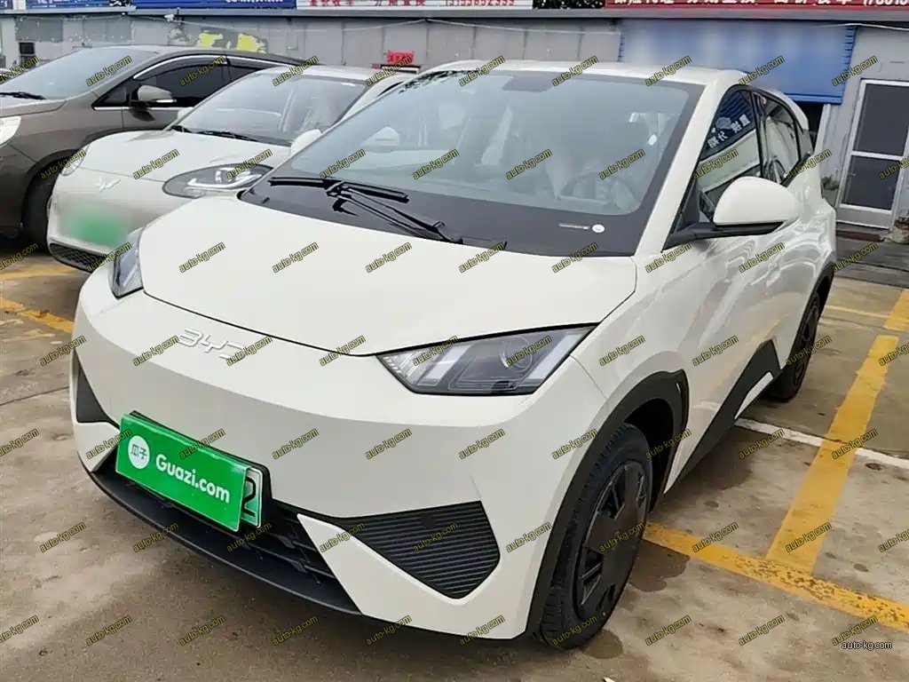 BYD Seagull 2026