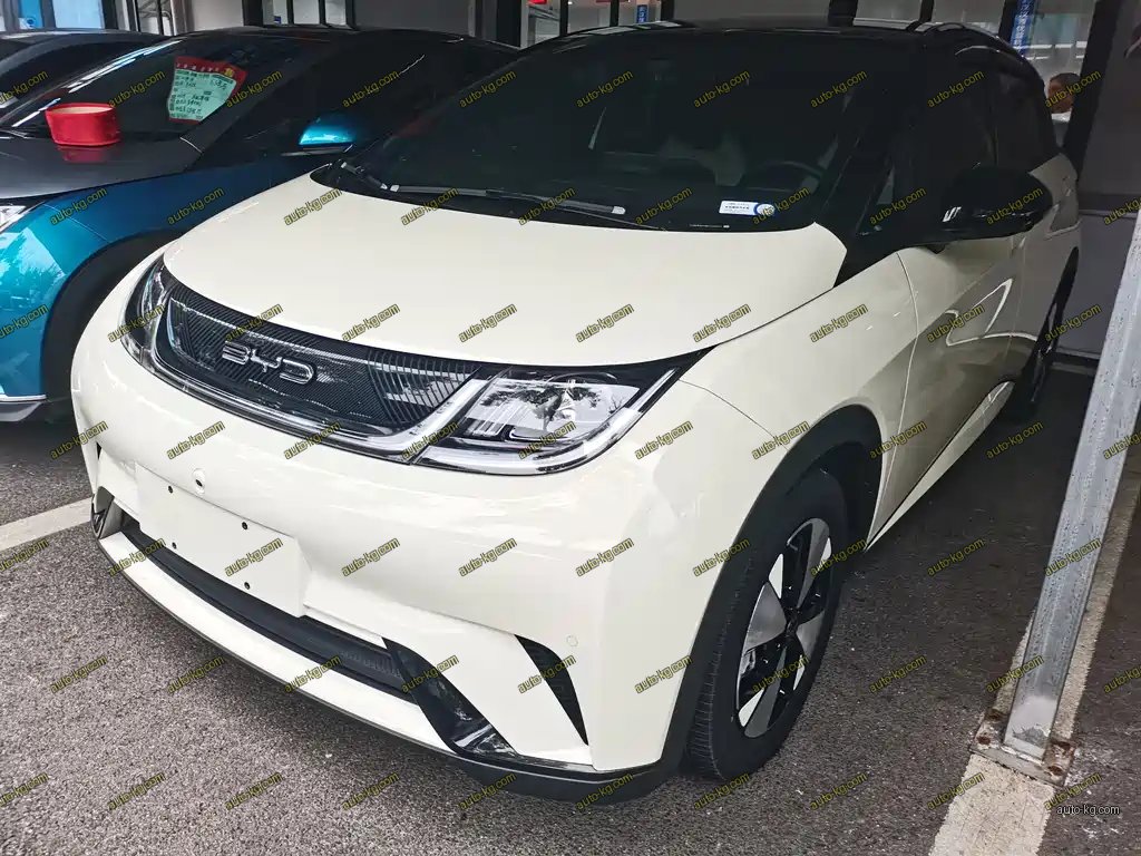 BYD Dolphin 2023