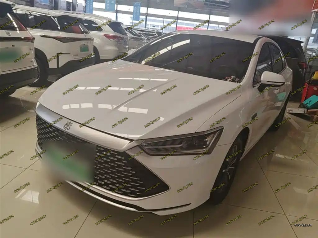 BYD Qin PLUS 2024