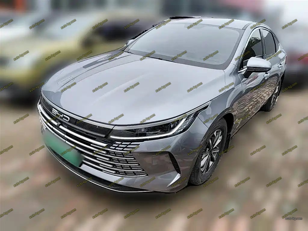 BYD Destroyer 05 2024