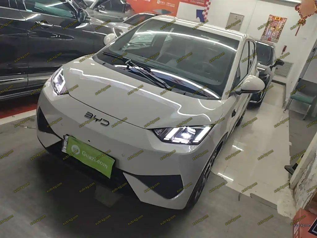 BYD Seagull 2025