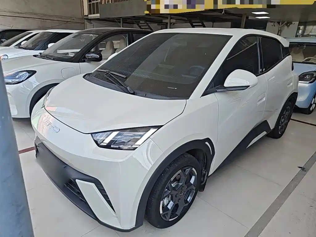 BYD Seagull 2024