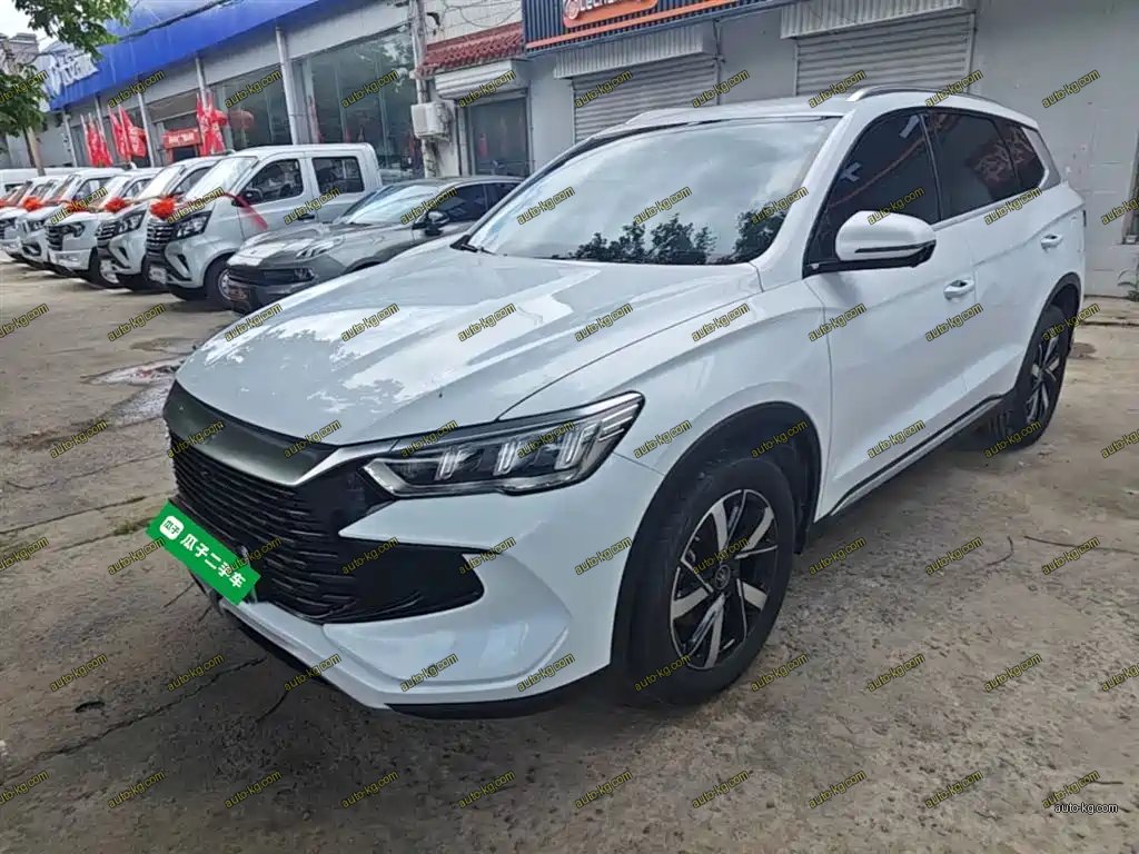 BYD Pro New Energy 2024