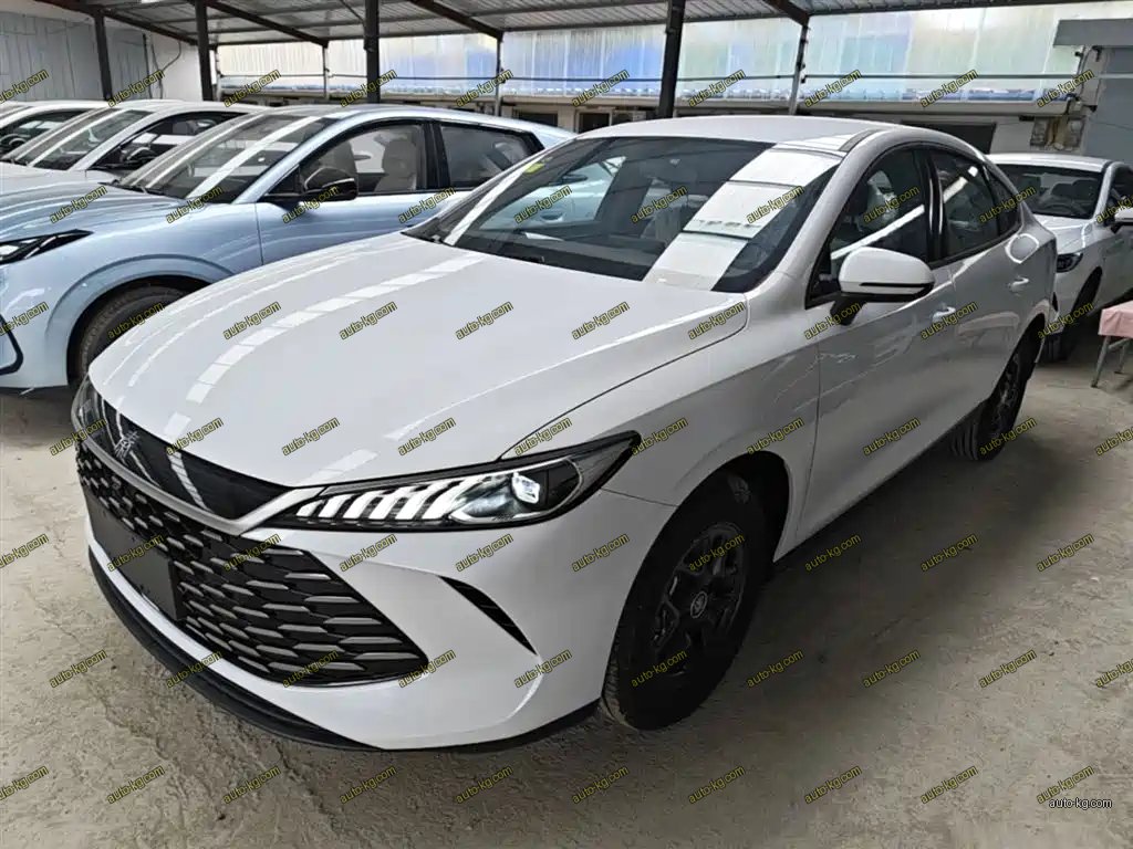 BYD Qin PLUS 2026