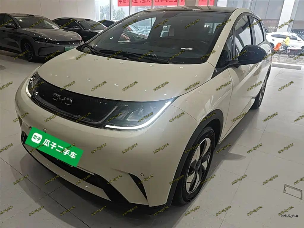 BYD Dolphin 2024