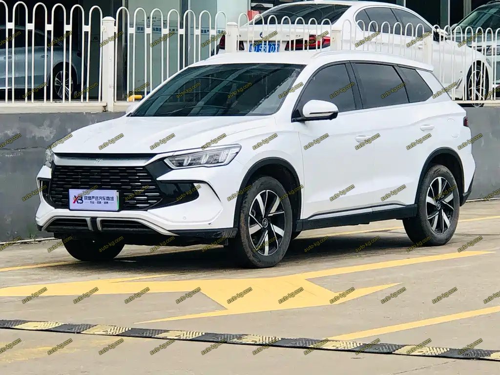 BYD Pro New Energy 2024