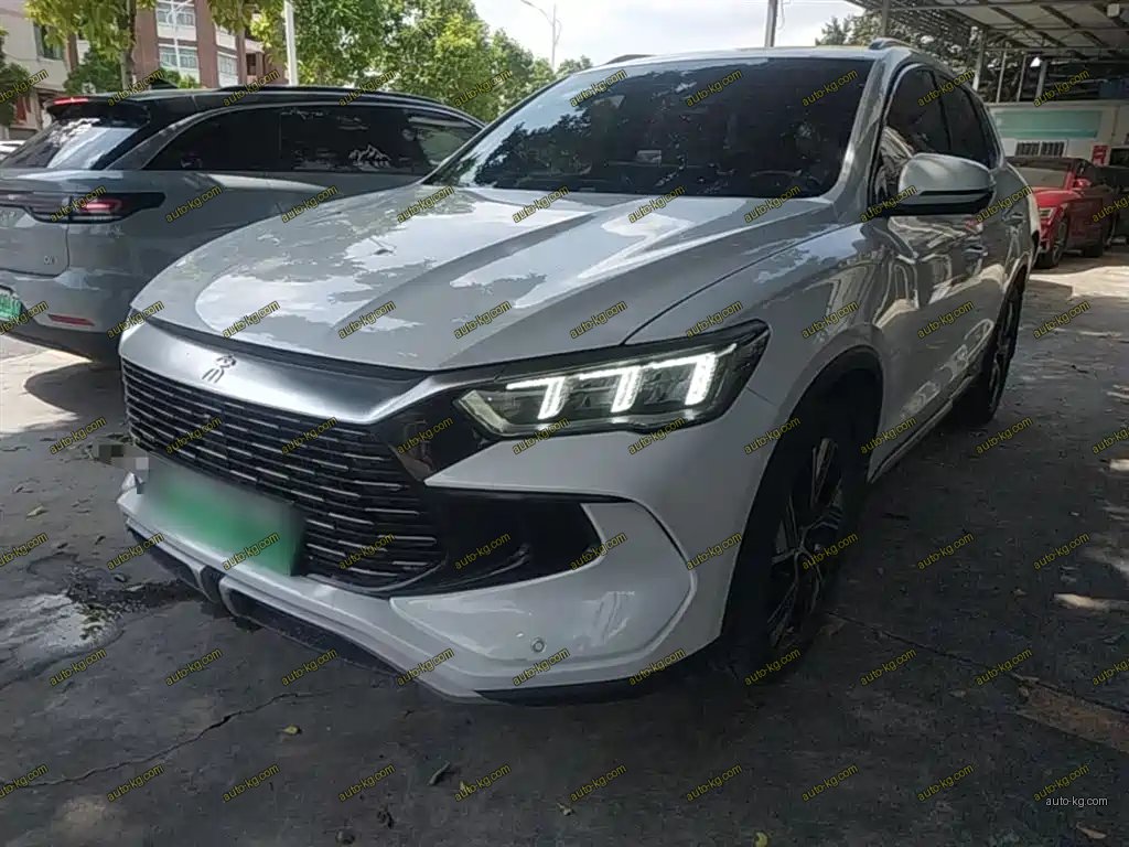 BYD Pro New Energy 2023