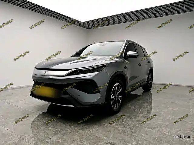 BYD Pro New Energy 2025