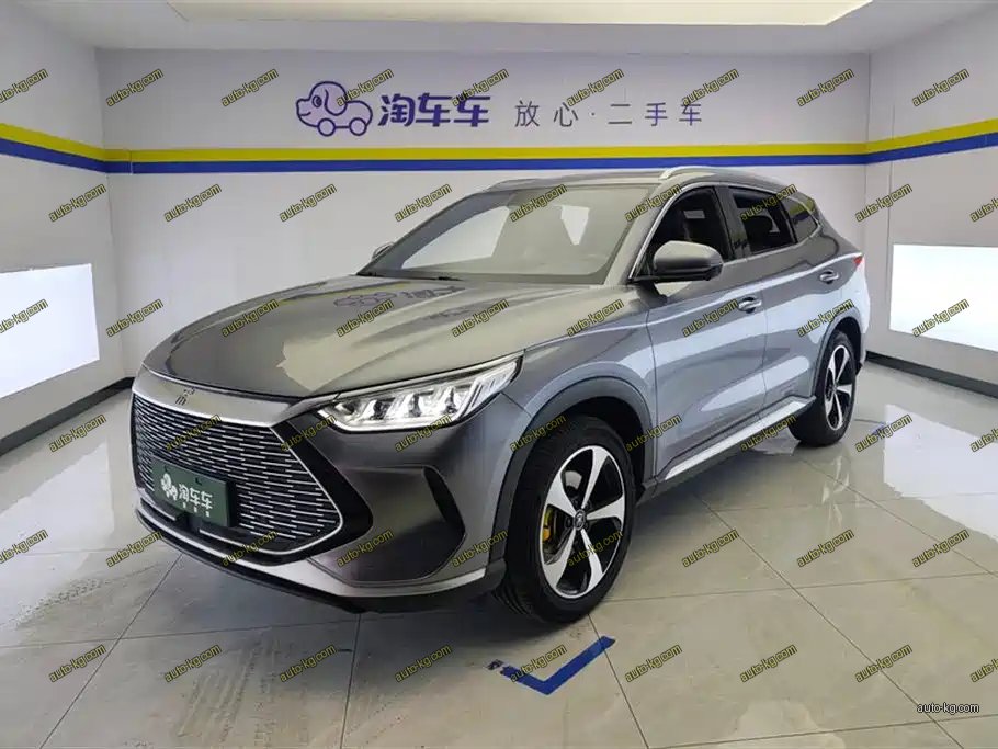 BYD PLUS New Energy 2022