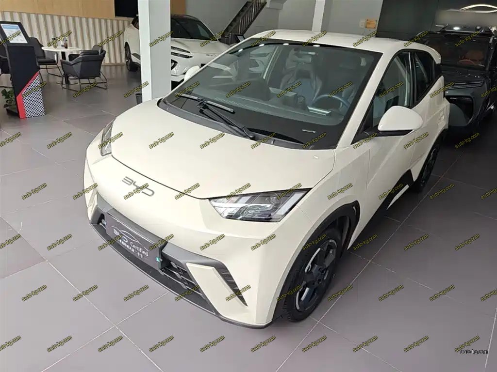 BYD Seagull 2024