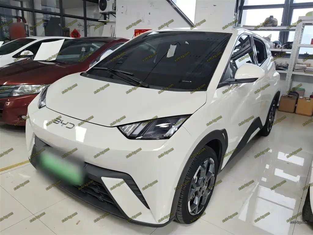 BYD Seagull 2025