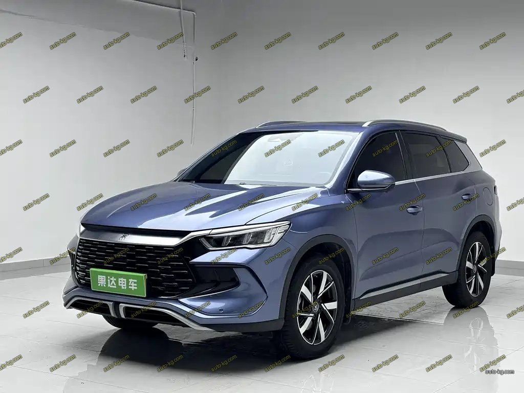 BYD Pro New Energy 2023