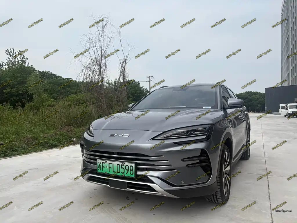 BYD PLUS New Energy 2024