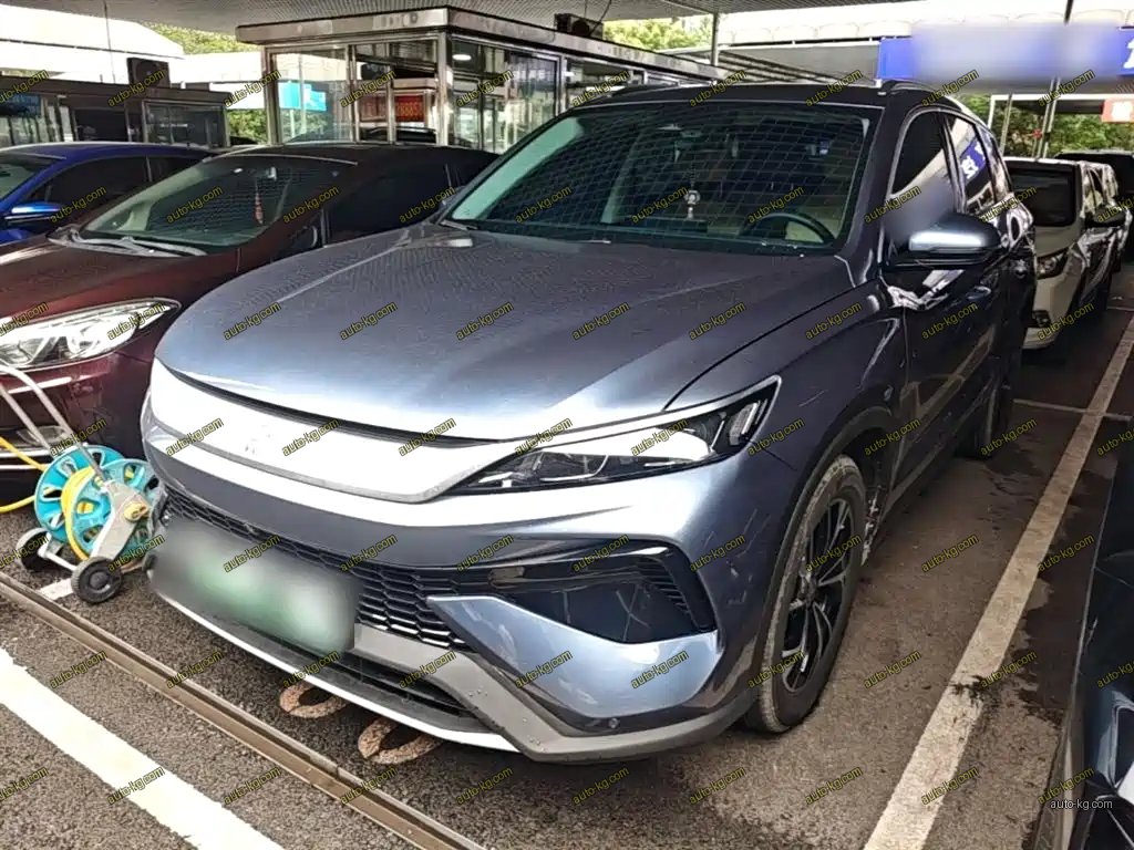 BYD Pro New Energy 2025