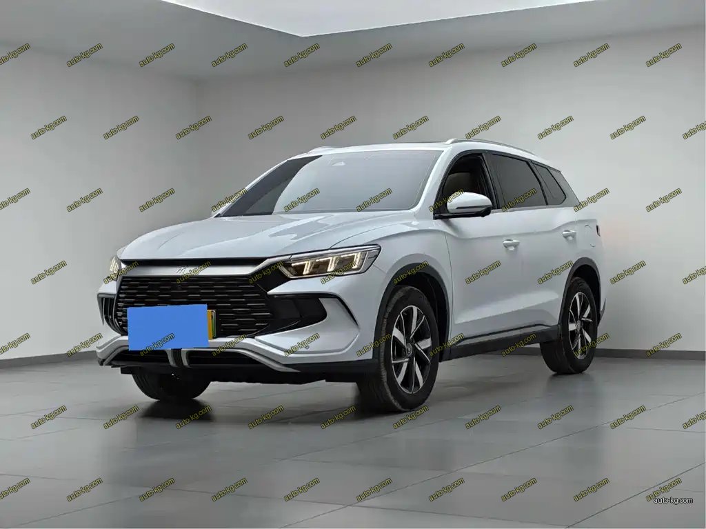 BYD Pro New Energy 2024
