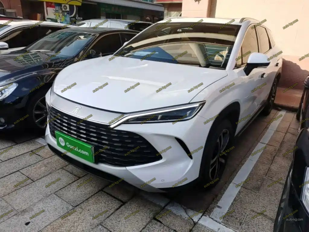 BYD L DM-i 2024