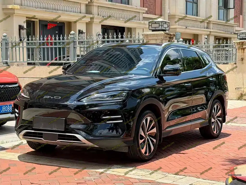 BYD PLUS New Energy 2023