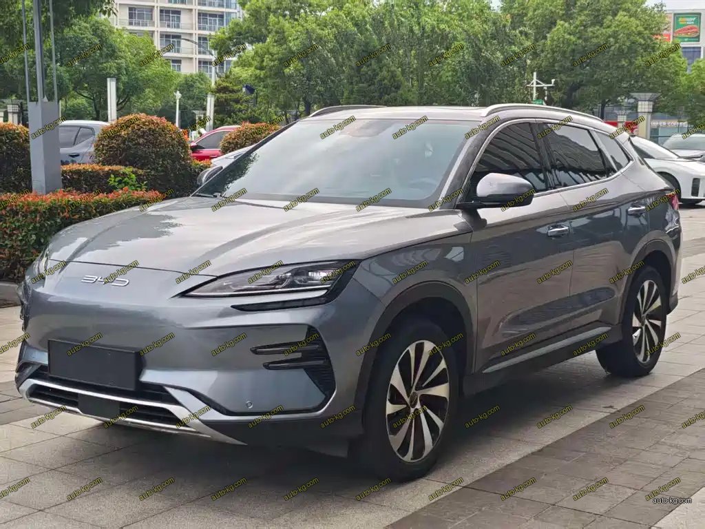 BYD PLUS New Energy 2024
