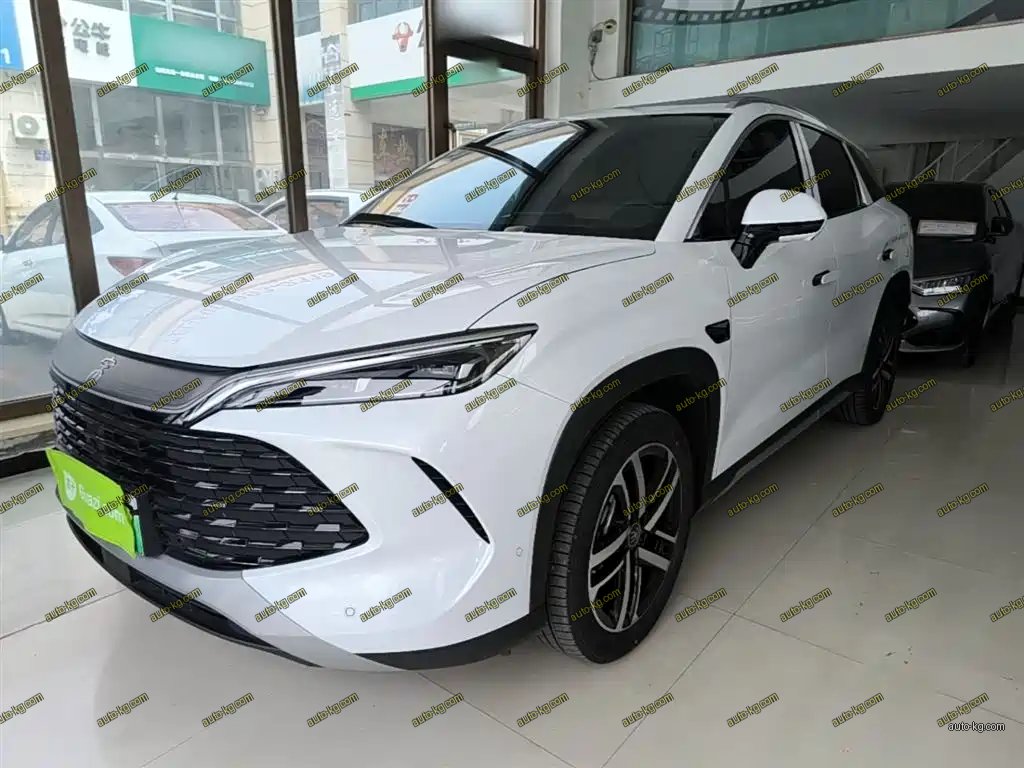 BYD L DM-i 2025