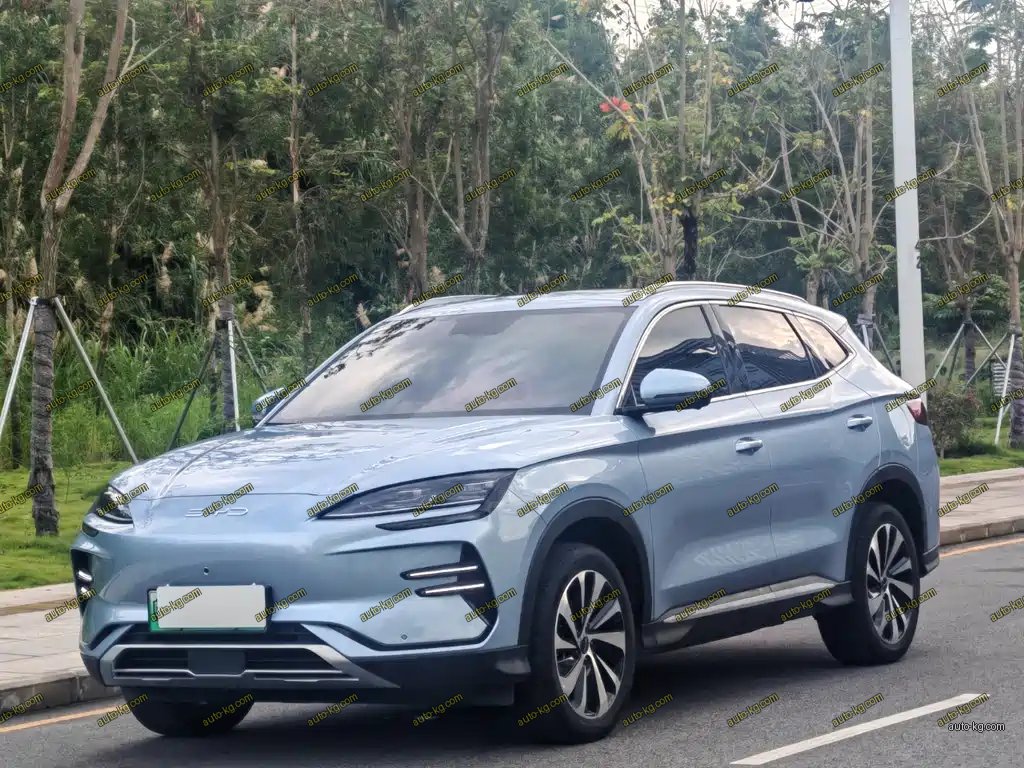BYD PLUS New Energy 2024