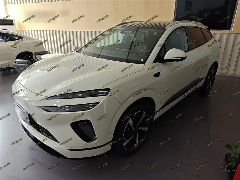 BYD 海狮06 2025