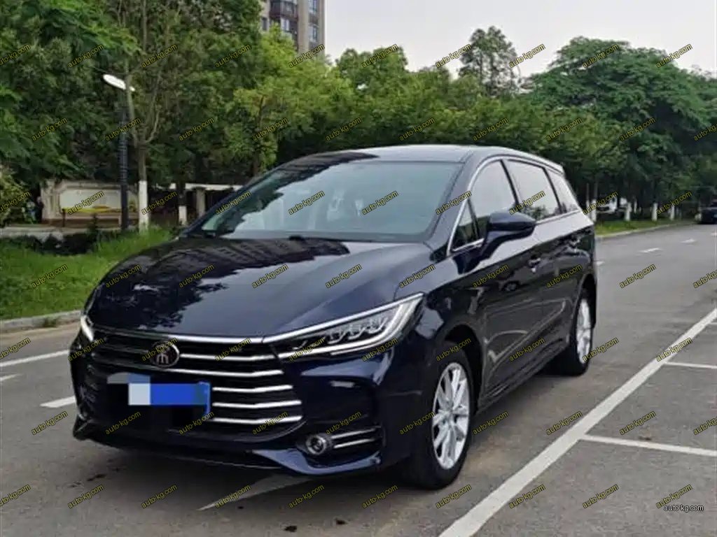 BYD MAX 2020