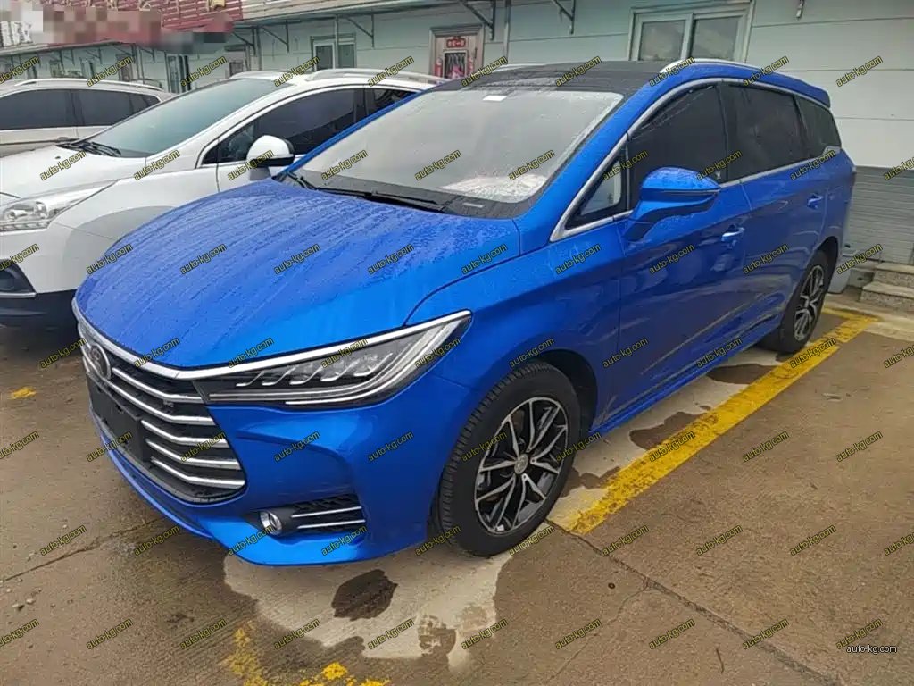 BYD MAX 2017