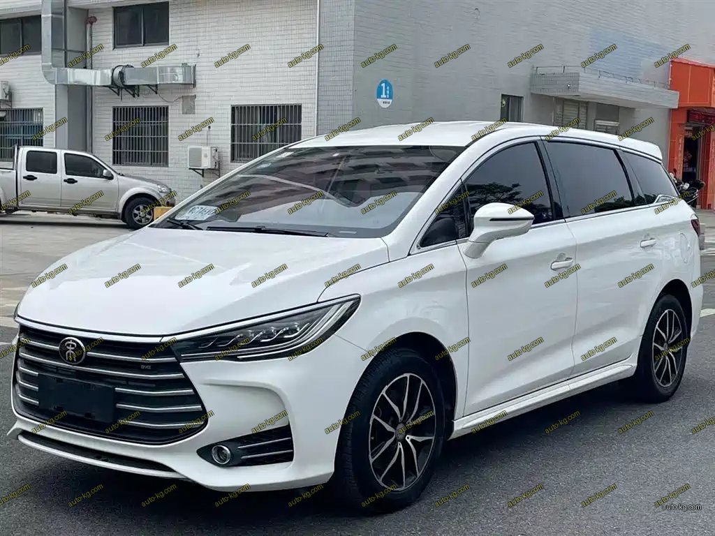 BYD MAX 2018
