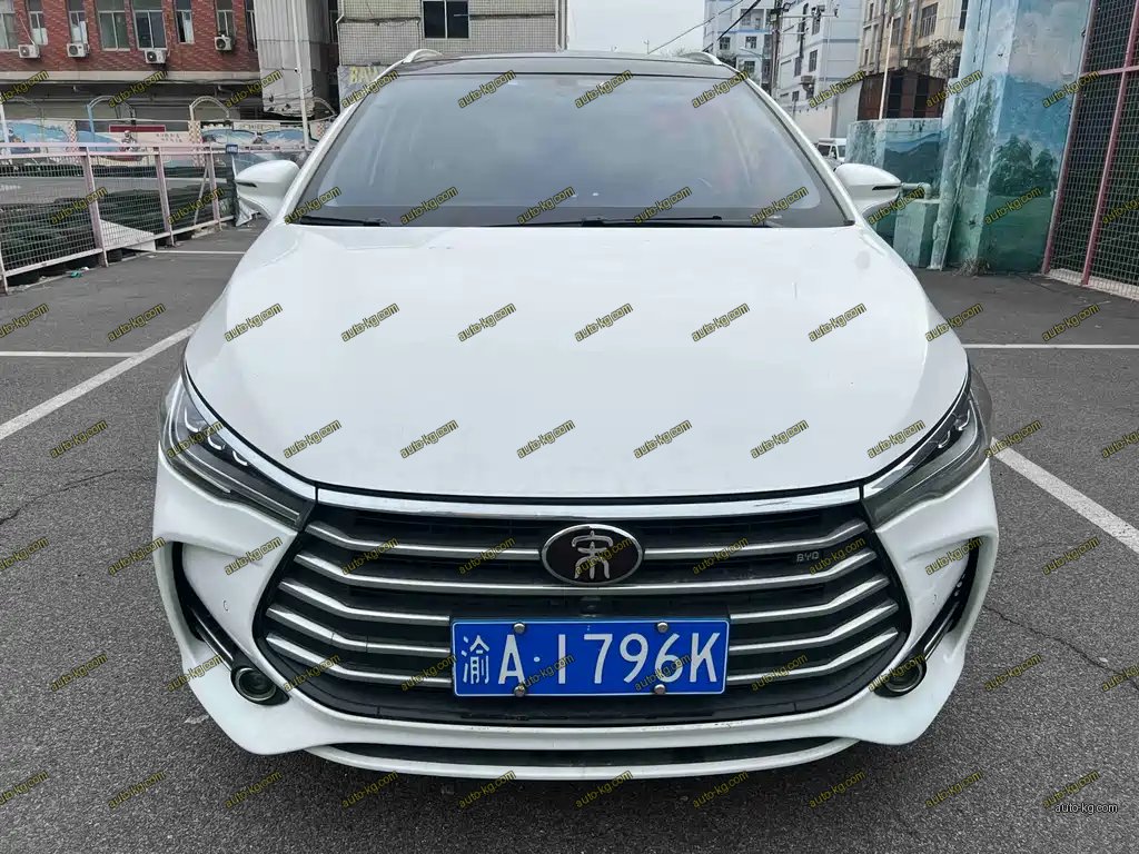 BYD MAX 2018