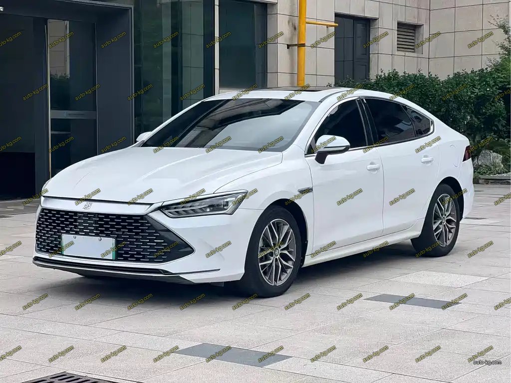BYD Qin PLUS 2021