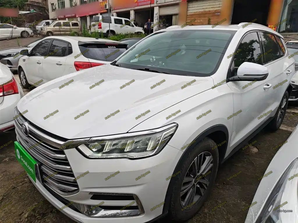BYD Pro 2020
