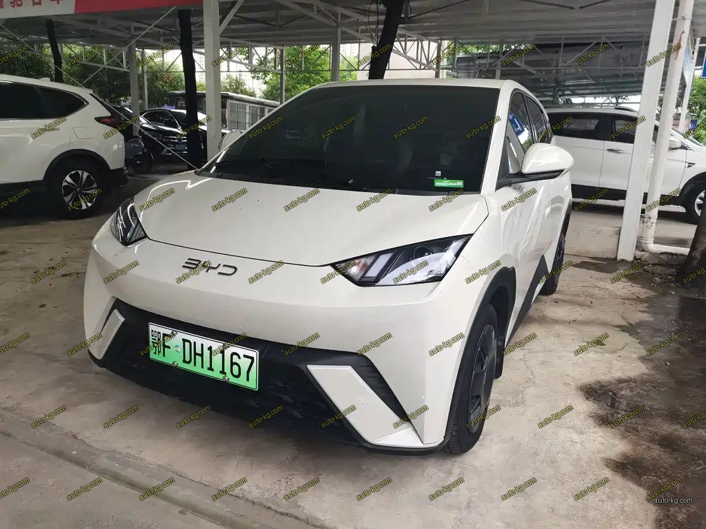 BYD Seagull 2024