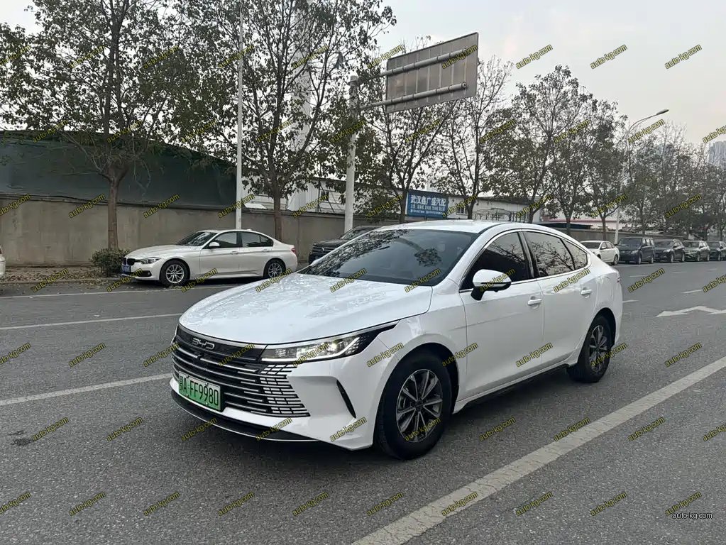 BYD Destroyer 05 2024