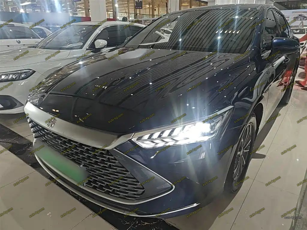 BYD Qin PLUS 2024