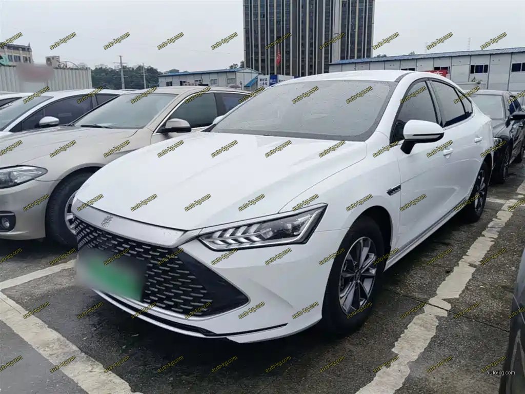 BYD Qin PLUS 2024