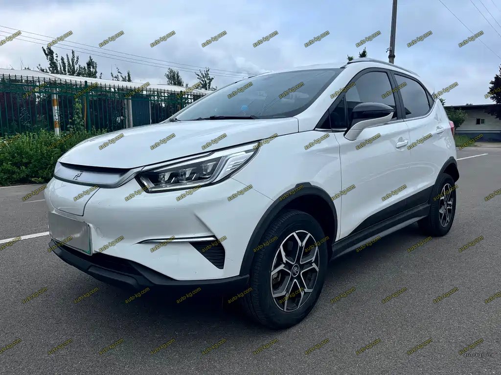 BYD Yuan Pro 2021