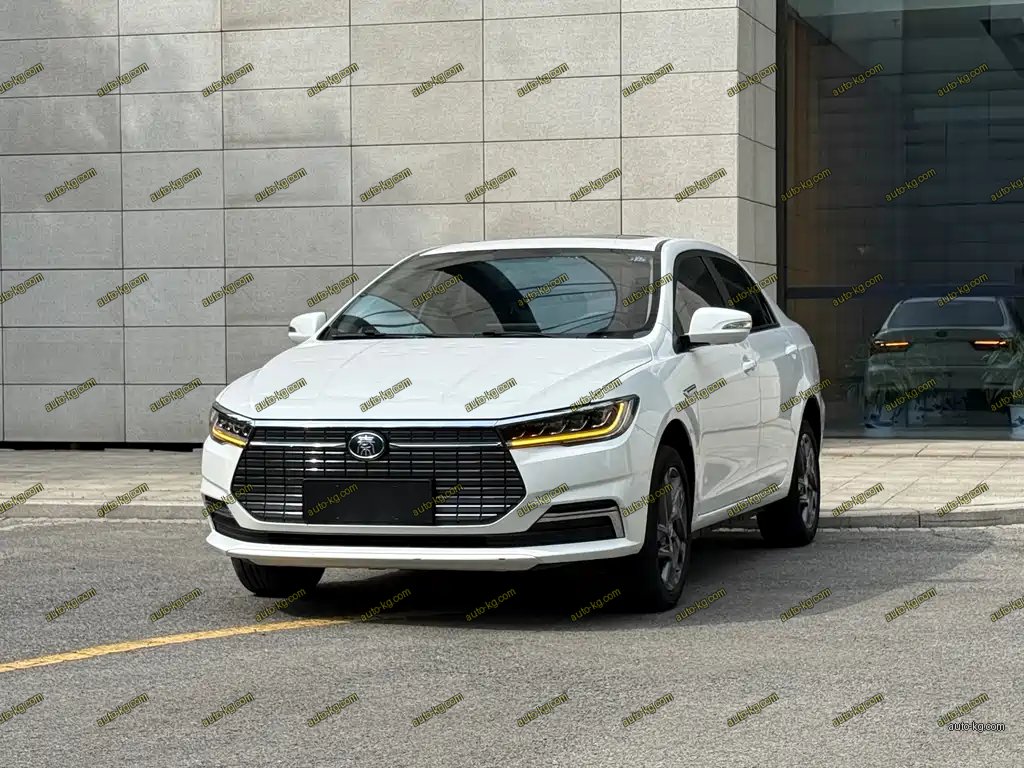 BYD Qin NEV 2020