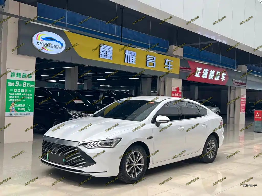 BYD Qin PLUS 2024