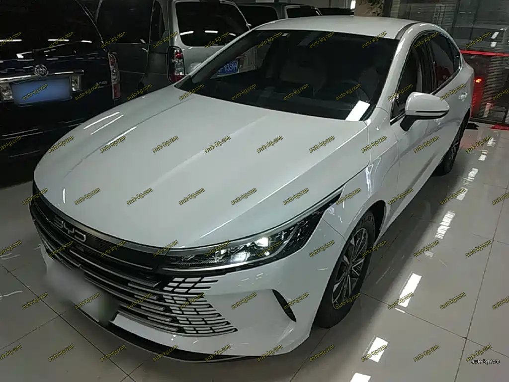 BYD Destroyer 05 2024