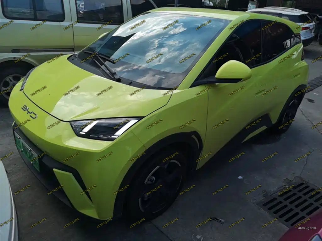 BYD Seagull 2024