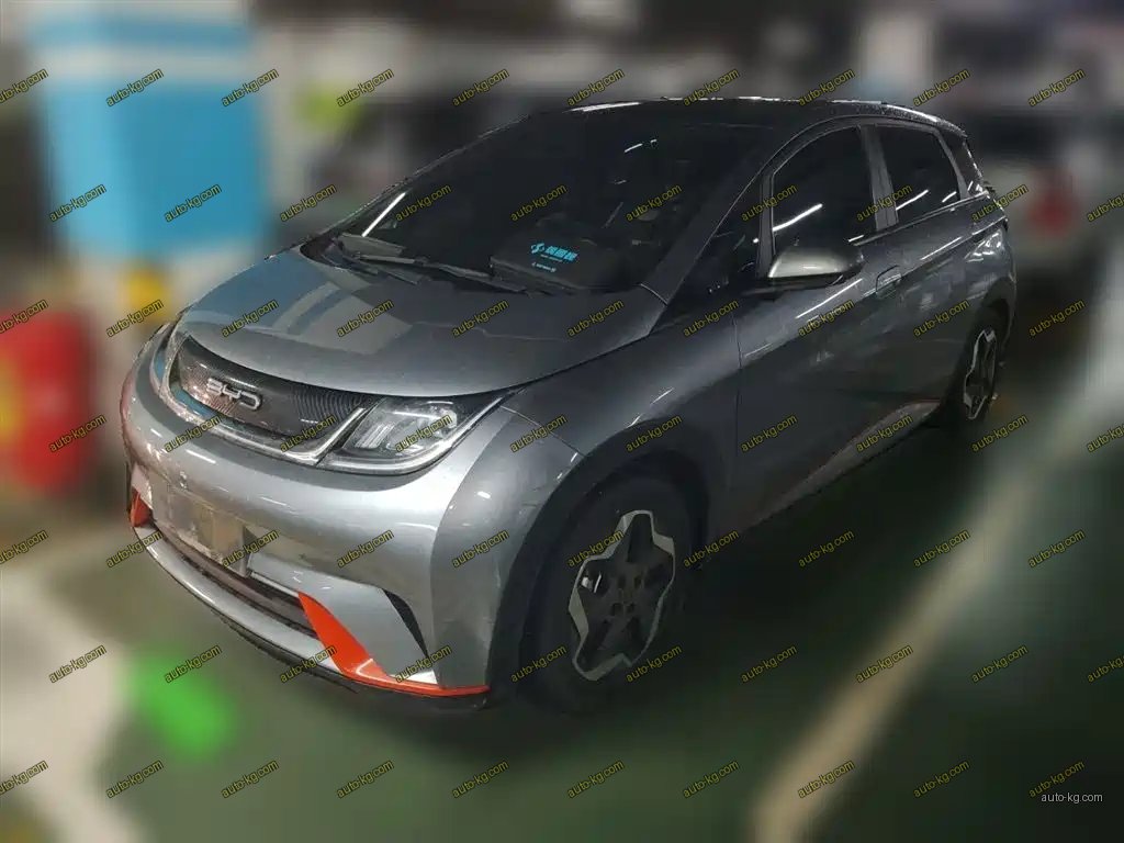BYD Dolphin 2022