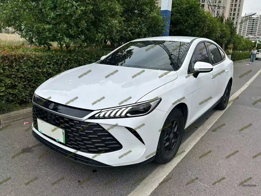 BYD Qin PLUS 2025