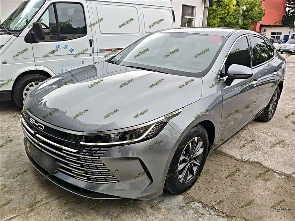 BYD Destroyer 05 2024