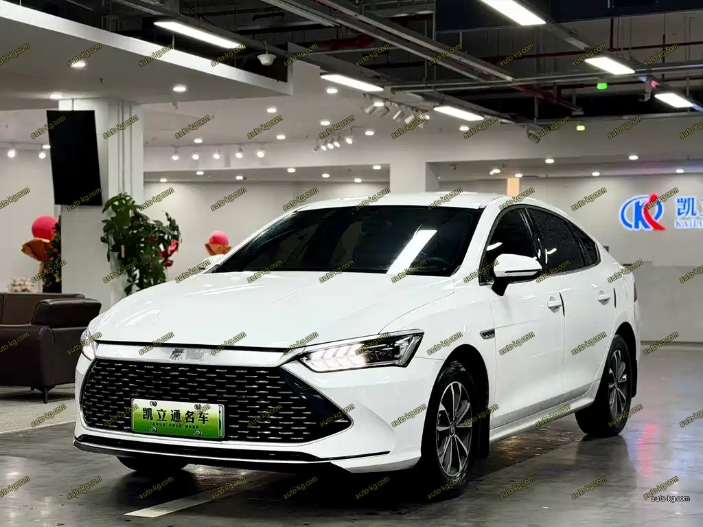BYD Qin PLUS 2024