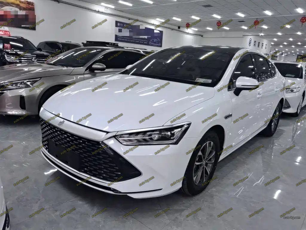 BYD Qin PLUS 2023
