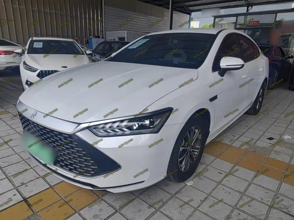 BYD Qin PLUS 2024