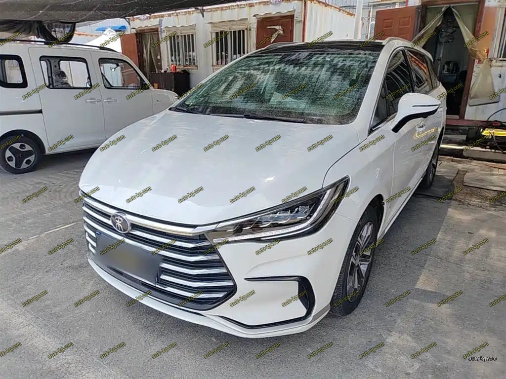 BYD MAX 2021