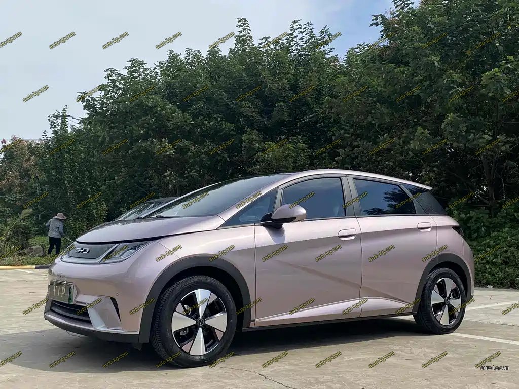 BYD Dolphin 2023