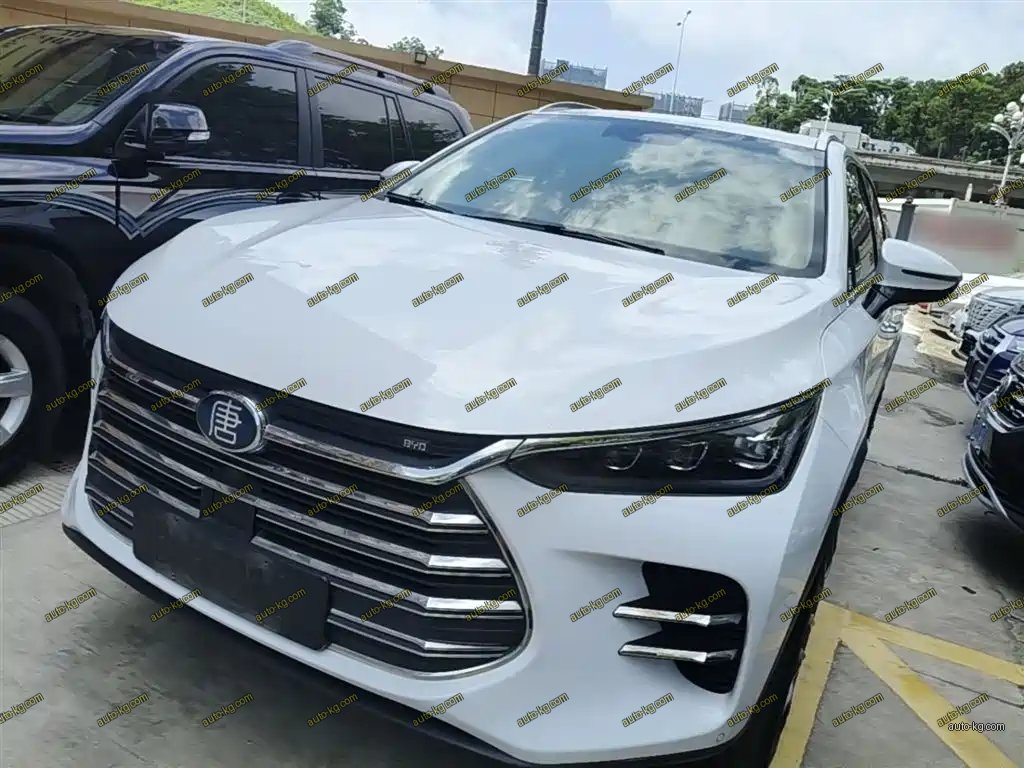 BYD Tang New Energy 2019